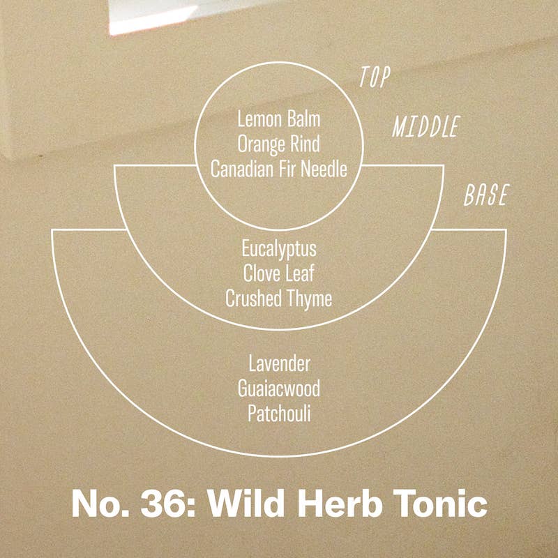P.F. Candle Co: Wild Herb Tonic - Incense