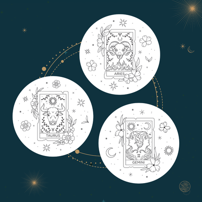 The Crafty Kit Company: Signs of Zodiac - Gemini Embroidery Kit