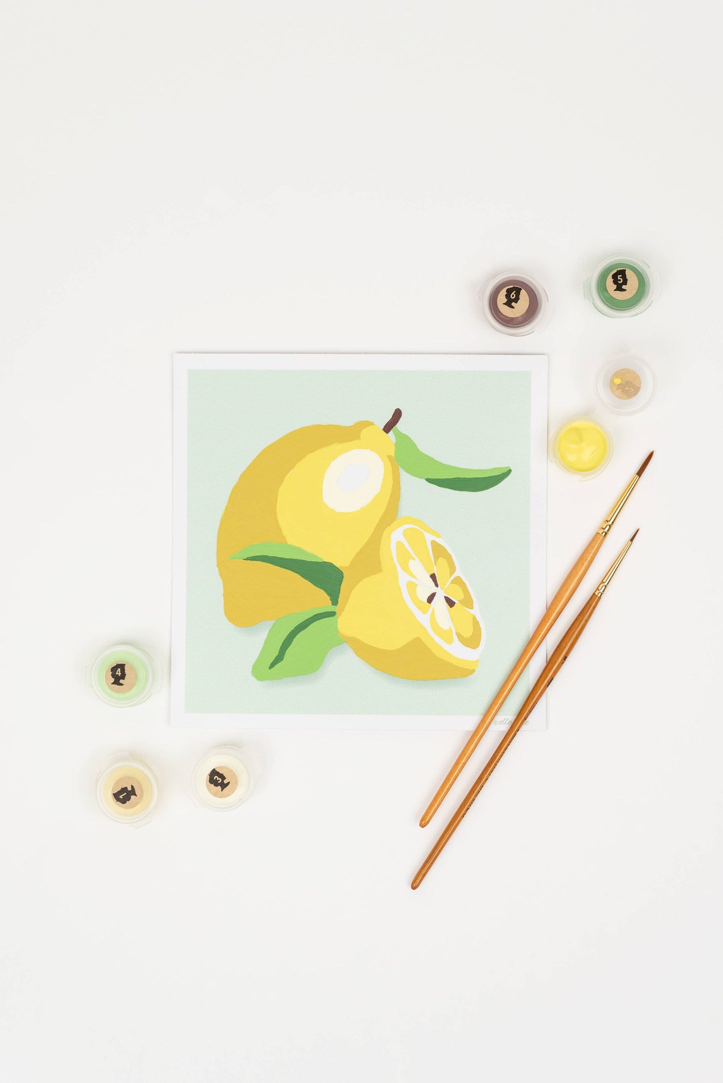 Elle Crée (She Creates):  Lemons MINI Paint-by-Number Kit