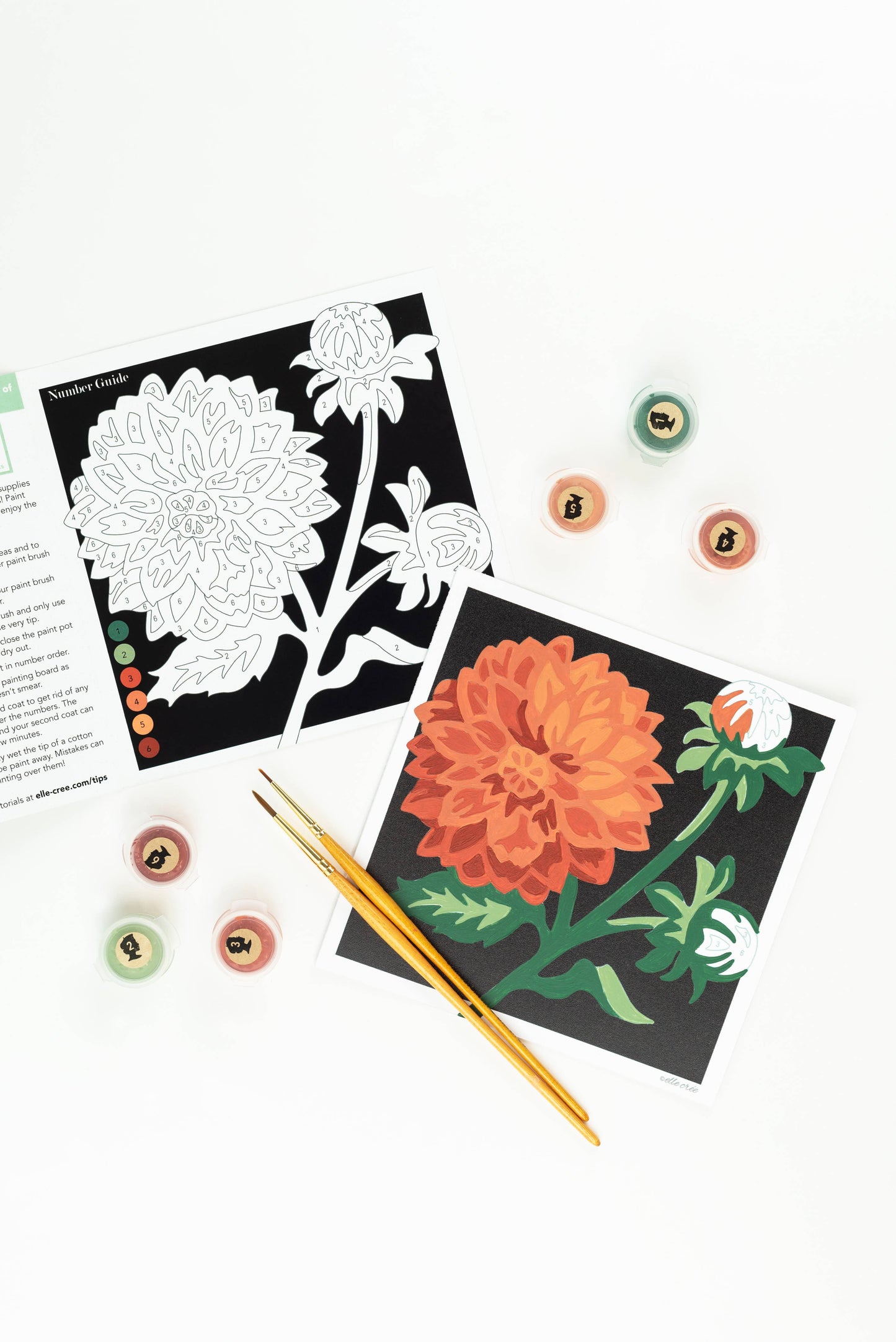 Elle Crée (She Creates): Dahlias MINI Paint-by-Number Kit