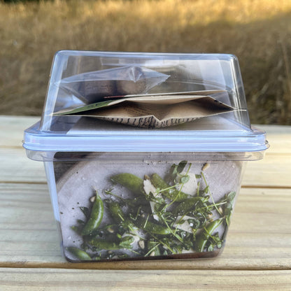 Seattle Seed Co.: Microgreens and Seed-Starting Kit