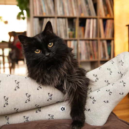 Conscious Step: Socks that Save Cats