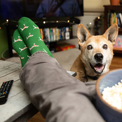 Conscious Step: Socks that Save Dogs