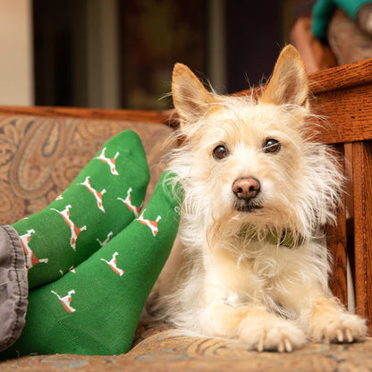 Conscious Step: Socks that Save Dogs