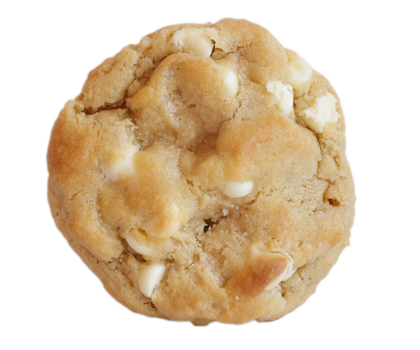 Via's Cookies: Assorted Gluten Free/Vegan Cookies (Singles)