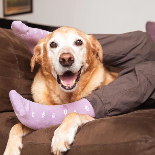 Conscious Step: Socks that Save Dogs