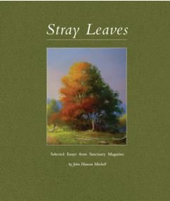 Stray Leaves - Selected Essays from Sanctuary Magazine
