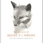 The Stories of Breece D'J Pancake