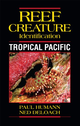 Reef Creature Identification Tropical Pacific