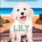 Lily (The Puppy Place #61) (61)