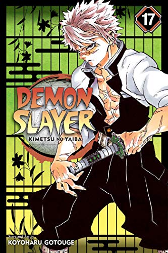 Demon Slayer: Kimetsu no Yaiba, Vol. 17 (17)