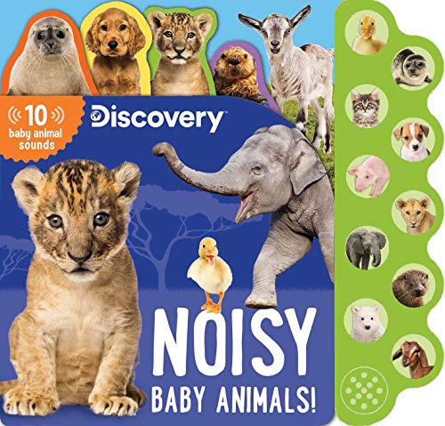 Discovery: Noisy Baby Animals! (10-Button Sound Books)