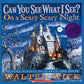 Can You See What I See?: On a Scary Scary Night: Picture Puzzles to Search and Solve