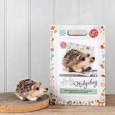 The Crafty Kit Company: Baby Hedgehog Needle Felting Craft Kit