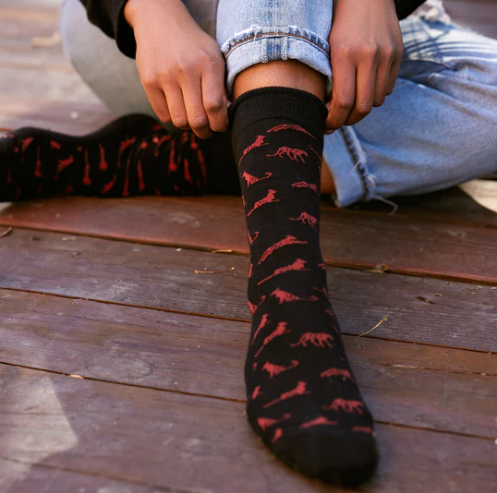 Conscious Step: Socks that Protect Cheetahs (Black)