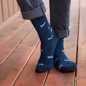 Conscious Step: Socks that Protect Sharks